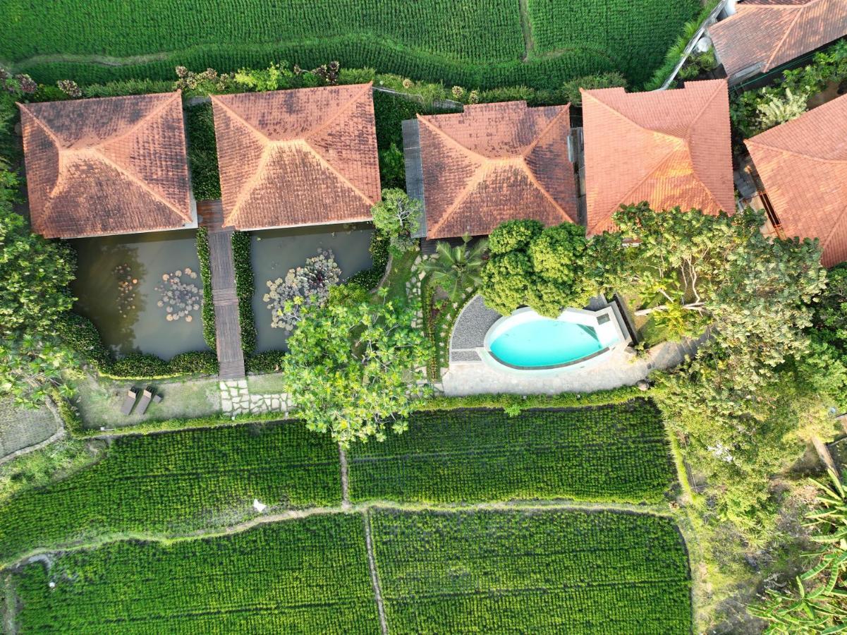 Griya Kcb Villa Ubud Exterior foto