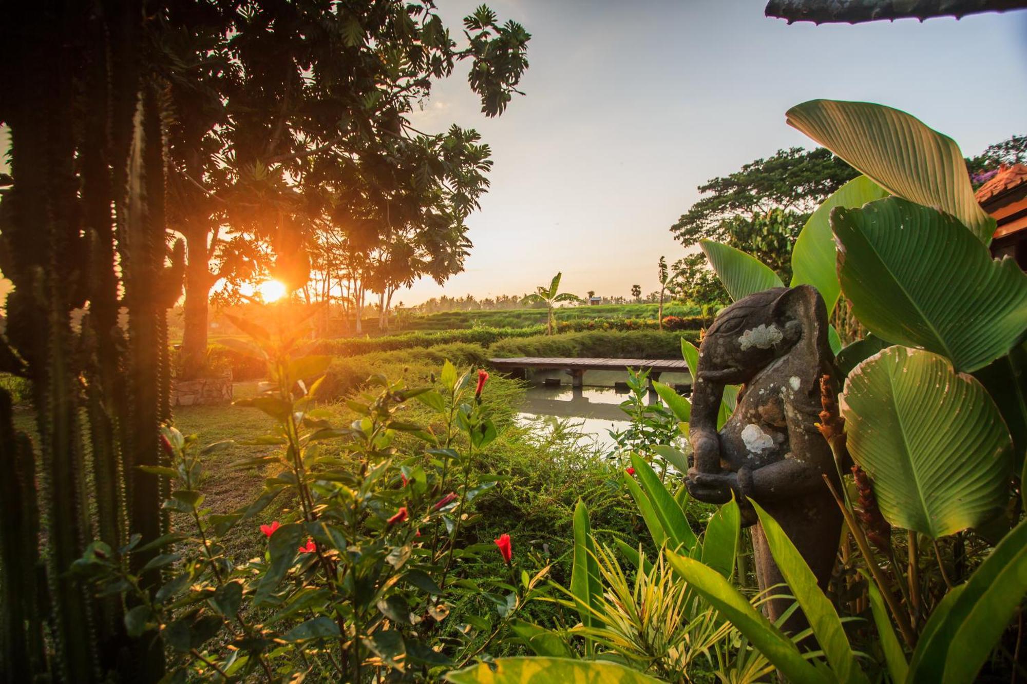 Griya Kcb Villa Ubud Exterior foto