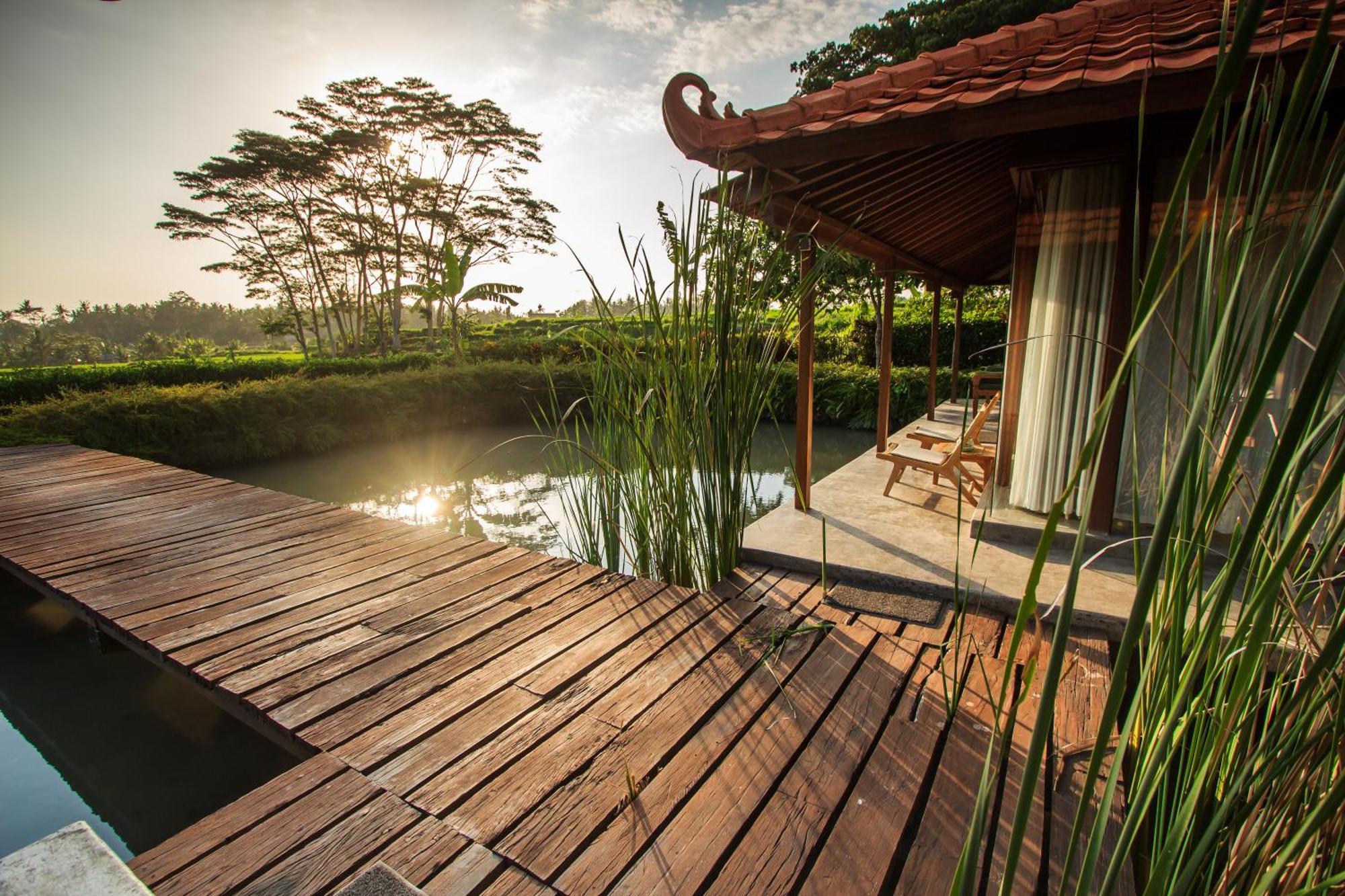Griya Kcb Villa Ubud Exterior foto