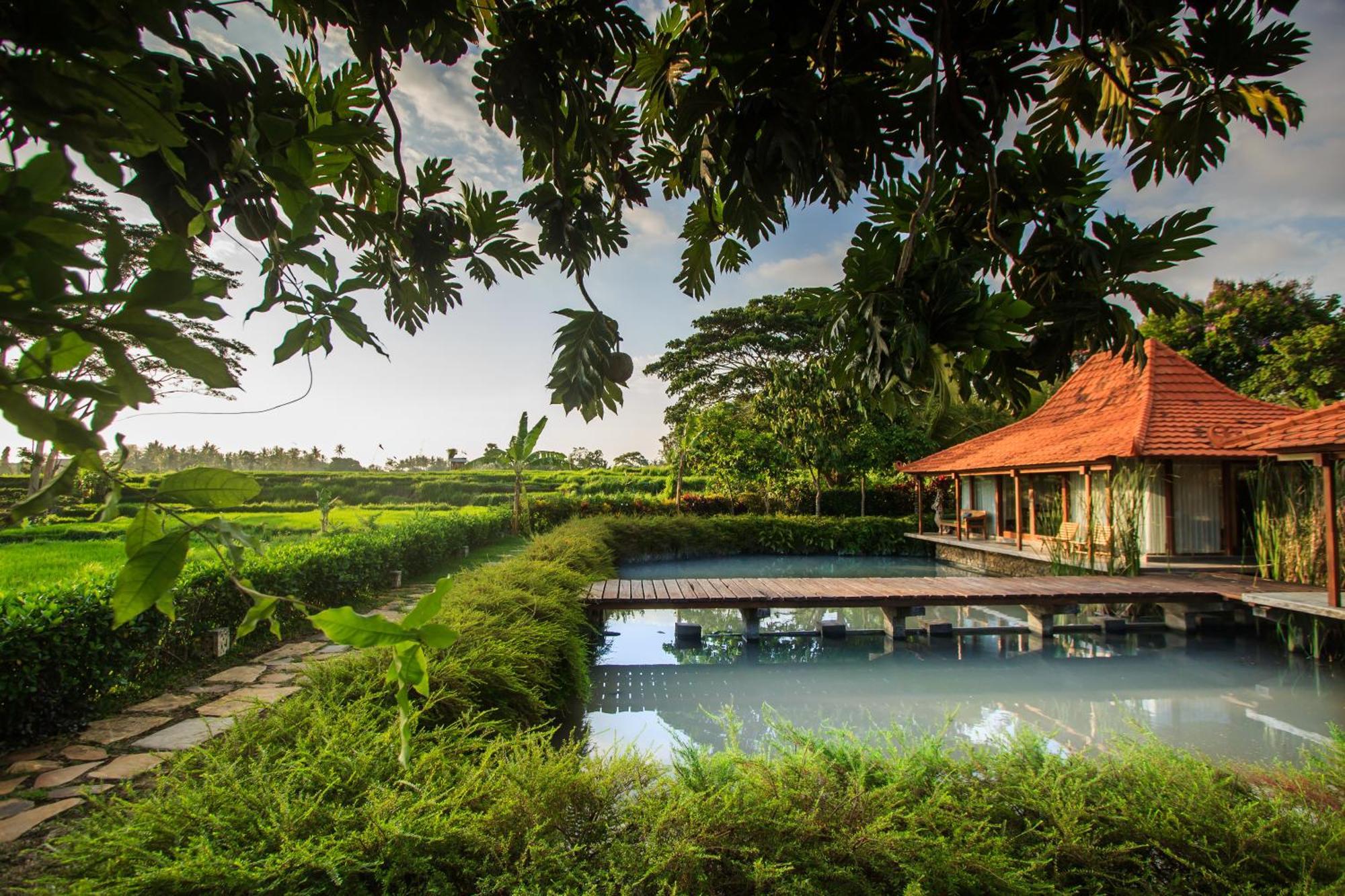 Griya Kcb Villa Ubud Exterior foto